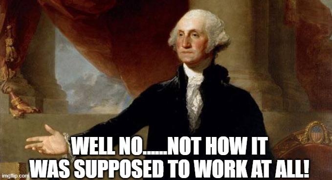 george washington | WELL NO......NOT HOW IT WAS SUPPOSED TO WORK AT ALL! | image tagged in george washington | made w/ Imgflip meme maker