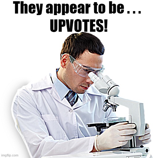 They appear to be . . . UPVOTES! | made w/ Imgflip meme maker
