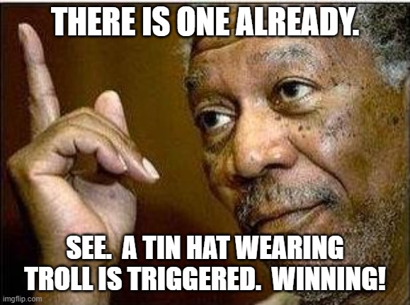 morgan freeman | THERE IS ONE ALREADY. SEE.  A TIN HAT WEARING TROLL IS TRIGGERED.  WINNING! | image tagged in morgan freeman | made w/ Imgflip meme maker