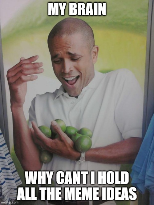 Why Can't I Hold All These Limes |  MY BRAIN; WHY CANT I HOLD ALL THE MEME IDEAS | image tagged in memes,why can't i hold all these limes | made w/ Imgflip meme maker
