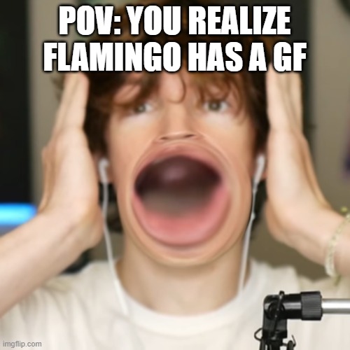 Flamingo surprised | POV: YOU REALIZE FLAMINGO HAS A GF | image tagged in flamingo surprised | made w/ Imgflip meme maker