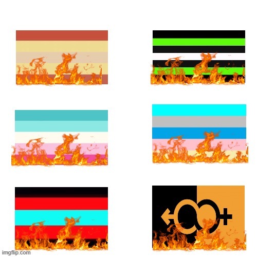 Repost from someone in the LGBTQ stream | made w/ Imgflip meme maker