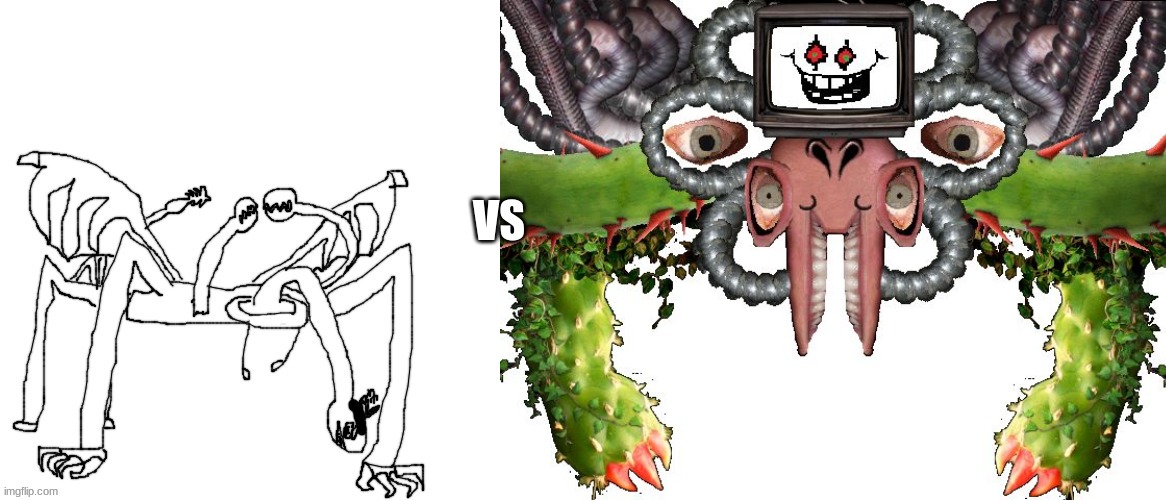 who would win | VS | image tagged in crls or flowey | made w/ Imgflip meme maker