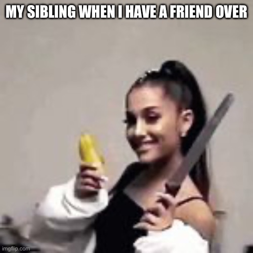 Siblings when you have a friend over | MY SIBLING WHEN I HAVE A FRIEND OVER | image tagged in memes | made w/ Imgflip meme maker