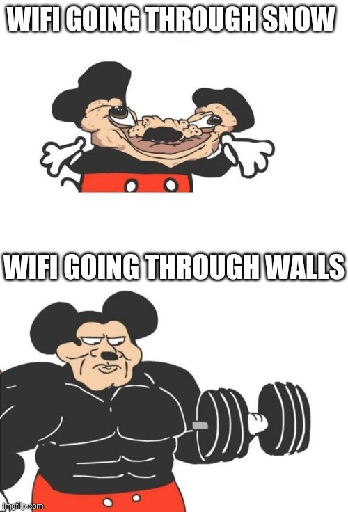WiFi is weird | WIFI GOING THROUGH SNOW; WIFI GOING THROUGH WALLS | image tagged in buff mickey mouse,sure,wifi | made w/ Imgflip meme maker