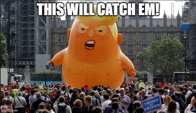 Trump Balloon | THIS WILL CATCH EM! | image tagged in trump balloon | made w/ Imgflip meme maker
