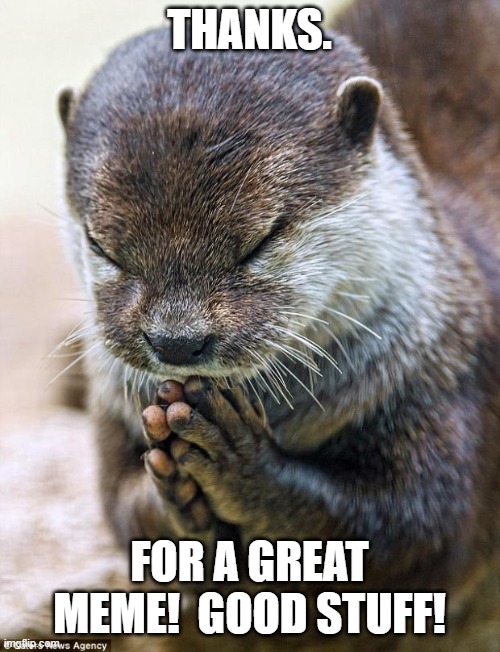 Thank you Lord Otter | THANKS. FOR A GREAT MEME!  GOOD STUFF! | image tagged in thank you lord otter | made w/ Imgflip meme maker