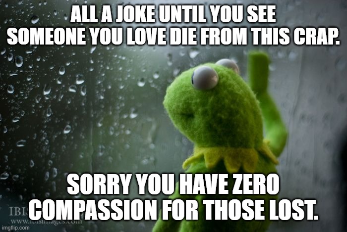 kermit window | ALL A JOKE UNTIL YOU SEE SOMEONE YOU LOVE DIE FROM THIS CRAP. SORRY YOU HAVE ZERO COMPASSION FOR THOSE LOST. | image tagged in kermit window | made w/ Imgflip meme maker