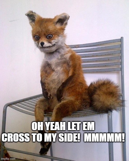 Stoned Fox | OH YEAH LET EM CROSS TO MY SIDE!  MMMMM! | image tagged in stoned fox | made w/ Imgflip meme maker