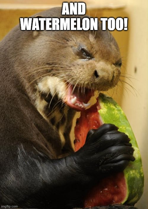 Self Loathing Otter Meme | AND WATERMELON TOO! | image tagged in memes,self loathing otter | made w/ Imgflip meme maker