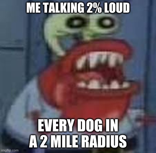 yep | ME TALKING 2% LOUD; EVERY DOG IN A 2 MILE RADIUS | image tagged in dogs | made w/ Imgflip meme maker