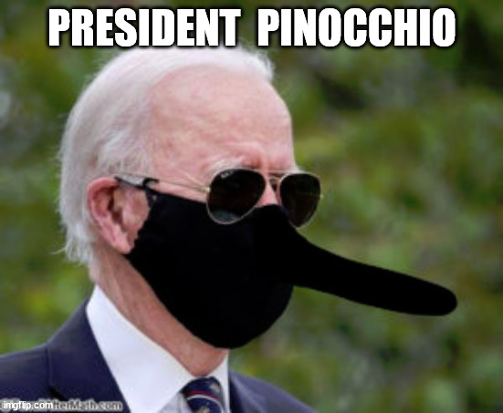 PRESIDENT  PINOCCHIO | image tagged in puppet | made w/ Imgflip meme maker