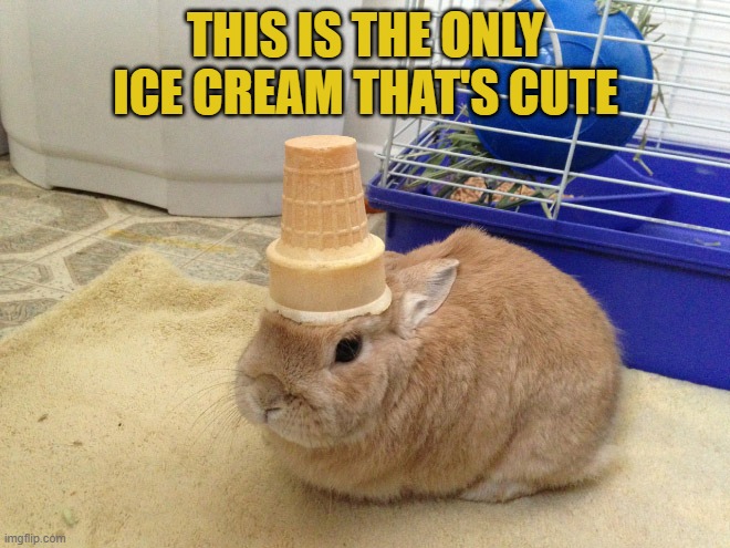 THIS IS THE ONLY ICE CREAM THAT'S CUTE | image tagged in bunnies,ice cream | made w/ Imgflip meme maker