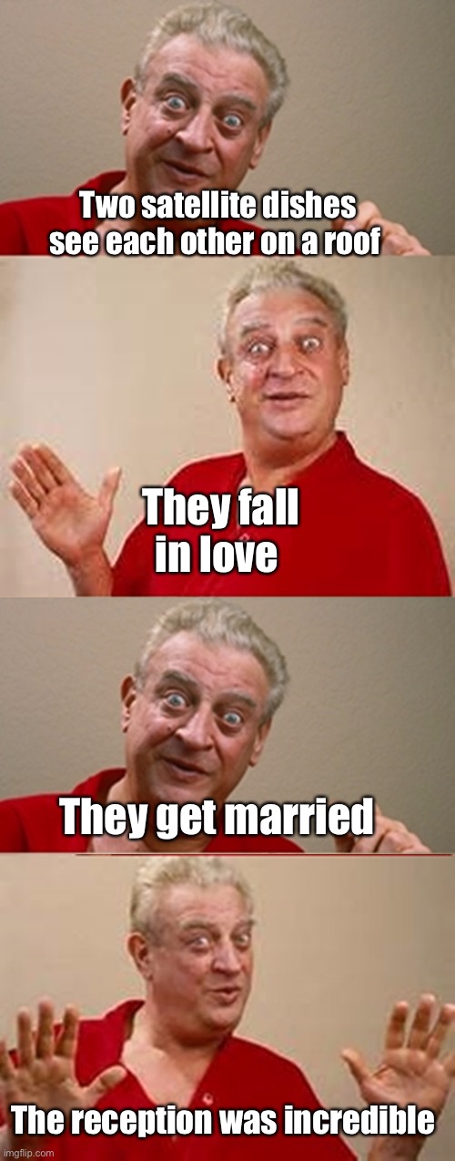 Dad jokes suck |  Two satellite dishes see each other on a roof; They fall in love; They get married; The reception was incredible | image tagged in bad pun rodney dangerfield,memes,stupid memes,dad jokes | made w/ Imgflip meme maker