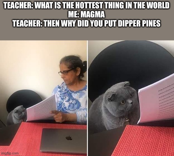 Is this true | TEACHER: WHAT IS THE HOTTEST THING IN THE WORLD
ME: MAGMA
TEACHER: THEN WHY DID YOU PUT DIPPER PINES | image tagged in woman showing paper to cat,hot,dipper pines,cute,funny test answers | made w/ Imgflip meme maker