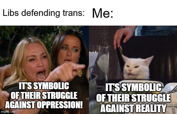 A Monty Python skit | Libs defending trans:; Me:; IT'S SYMBOLIC OF THEIR STRUGGLE AGAINST OPPRESSION! IT'S SYMBOLIC OF THEIR STRUGGLE AGAINST REALITY | image tagged in memes,woman yelling at cat | made w/ Imgflip meme maker