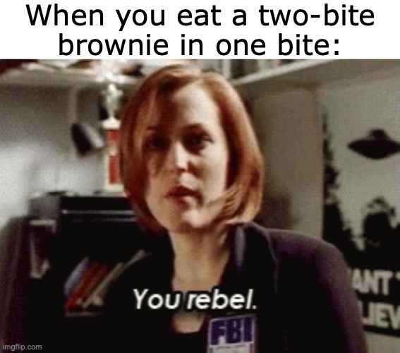 In for a Penny | When you eat a two-bite brownie in one bite:; https://www.youtube.com/watch?v=vk5xnEL8mYg | image tagged in memes,you,rebel,two,bite,brownies | made w/ Imgflip meme maker