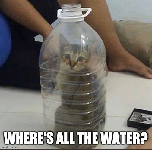 NO MORE WATER KITTY | WHERE'S ALL THE WATER? | image tagged in cats,funny cats | made w/ Imgflip meme maker