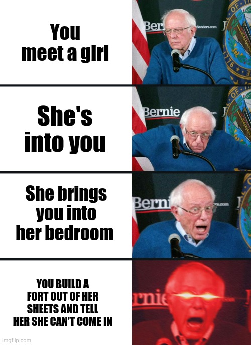 What's the password? | You meet a girl; She's into you; She brings you into her bedroom; YOU BUILD A FORT OUT OF HER SHEETS AND TELL HER SHE CAN'T COME IN | image tagged in bernie sanders reaction nuked | made w/ Imgflip meme maker