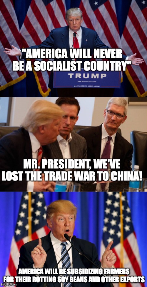 "AMERICA WILL NEVER BE A SOCIALIST COUNTRY"; MR. PRESIDENT, WE'VE LOST THE TRADE WAR TO CHINA! AMERICA WILL BE SUBSIDIZING FARMERS FOR THEIR ROTTING SOY BEANS AND OTHER EXPORTS | image tagged in donald trump,trump meeting,trump speech | made w/ Imgflip meme maker