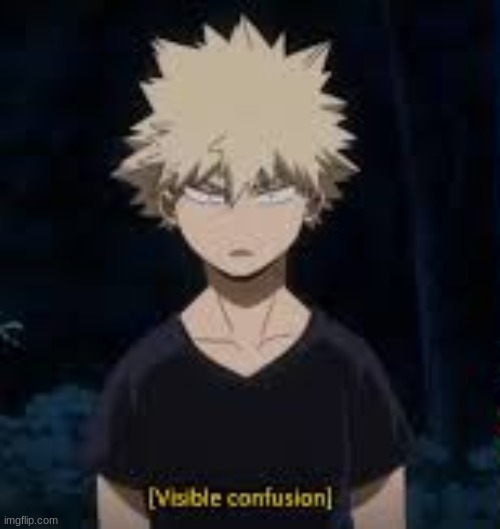 visible confusion bakugo | image tagged in visible confusion bakugo | made w/ Imgflip meme maker