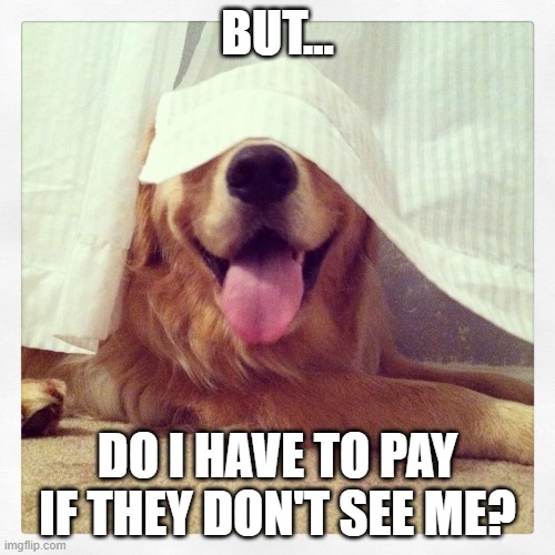 BUT... DO I HAVE TO PAY IF THEY DON'T SEE ME? | made w/ Imgflip meme maker