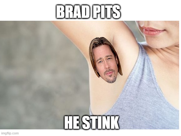 Imagine the smell of Pittsburgh | BRAD PITS; HE STINK | image tagged in blank white template | made w/ Imgflip meme maker