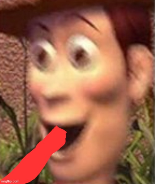 AHAHAHAHA | image tagged in woody on crack,woody no | made w/ Imgflip meme maker