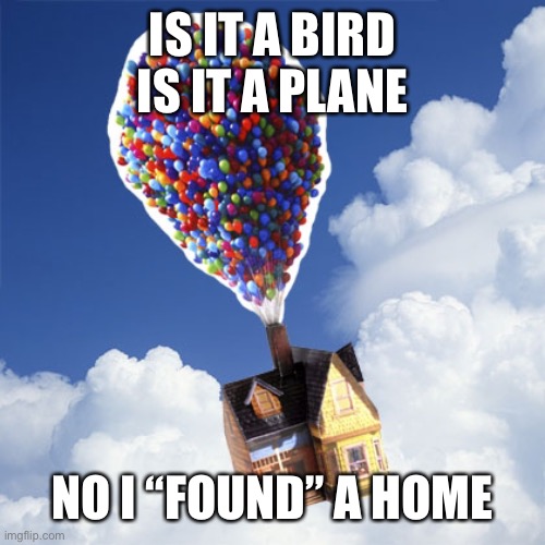 Balloons | IS IT A BIRD IS IT A PLANE NO I “FOUND” A HOME | image tagged in balloons | made w/ Imgflip meme maker