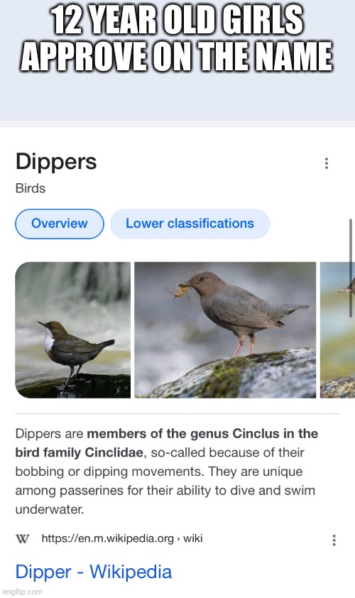 HOT | 12 YEAR OLD GIRLS APPROVE ON THE NAME | made w/ Imgflip meme maker