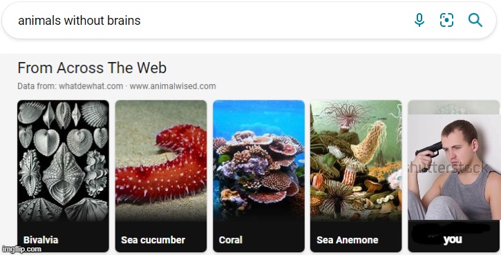 you | made w/ Imgflip meme maker