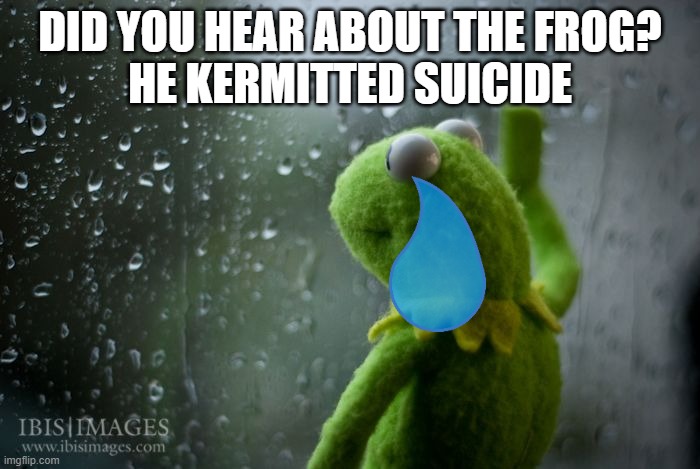 kermit window | DID YOU HEAR ABOUT THE FROG?
HE KERMITTED SUICIDE | image tagged in kermit window | made w/ Imgflip meme maker