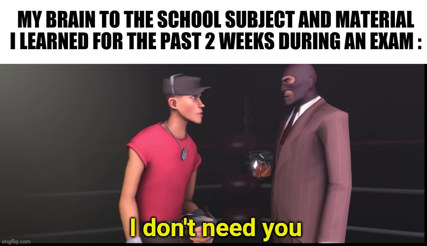 This is so sad | MY BRAIN TO THE SCHOOL SUBJECT AND MATERIAL I LEARNED FOR THE PAST 2 WEEKS DURING AN EXAM :; I don't need you | image tagged in team fortress 2,memes,funny,gifs,not really a gif,oh wow are you actually reading these tags | made w/ Imgflip meme maker