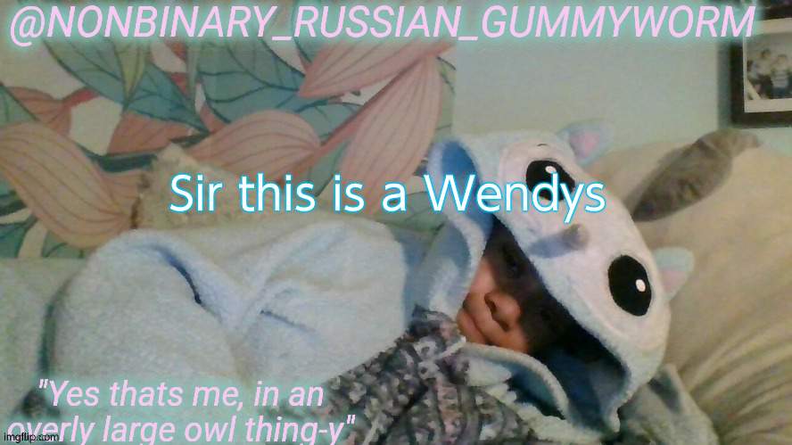 ree | Sir this is a Wendys | image tagged in gummyworm's overly large owl thingy temp | made w/ Imgflip meme maker