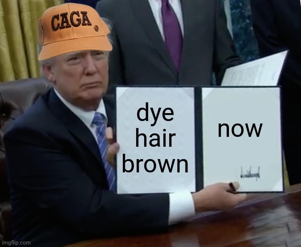 bsc dye hair brown now! | dye hair brown; now | image tagged in trump bill signing,brown,bsc,brown shift confirmed,ass,party | made w/ Imgflip meme maker