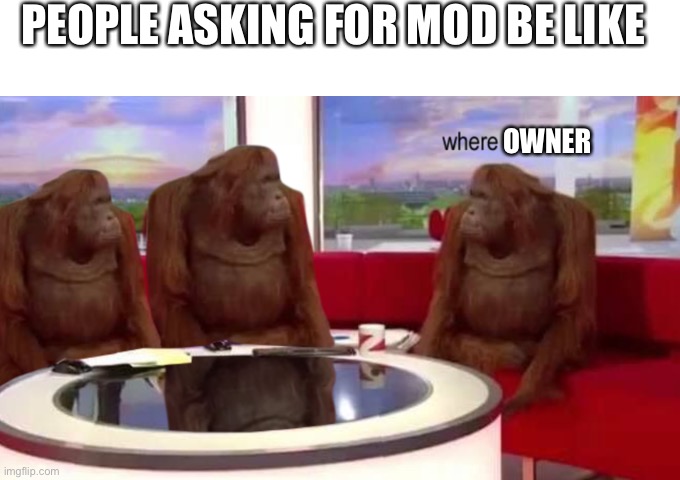 where banana | PEOPLE ASKING FOR MOD BE LIKE; OWNER | image tagged in where banana | made w/ Imgflip meme maker