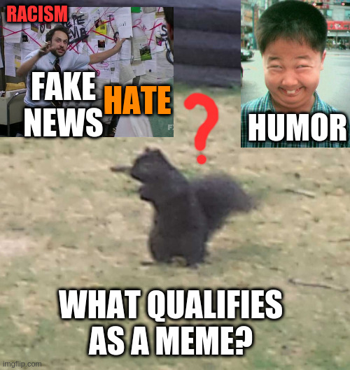 Should imgflip help set the tone on this site? Does anyone care? | RACISM; HATE; FAKE NEWS; HUMOR; WHAT QUALIFIES AS A MEME? | image tagged in squirrel,imgflip,fake news,memes | made w/ Imgflip meme maker