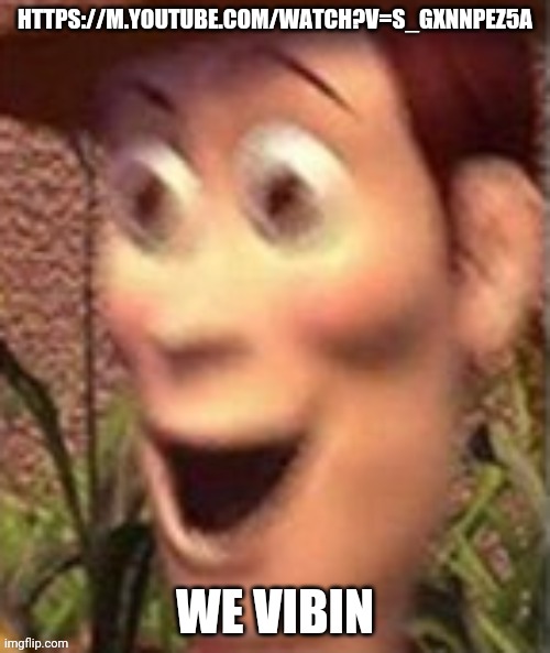 It is a jam tho | HTTPS://M.YOUTUBE.COM/WATCH?V=S_GXNNPEZ5A; WE VIBIN | image tagged in woody on crack | made w/ Imgflip meme maker