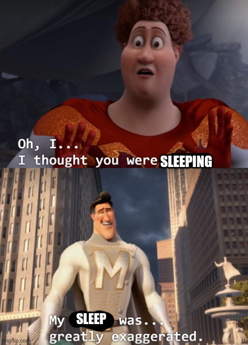 I thought you were dead | SLEEPING SLEEP | image tagged in i thought you were dead | made w/ Imgflip meme maker