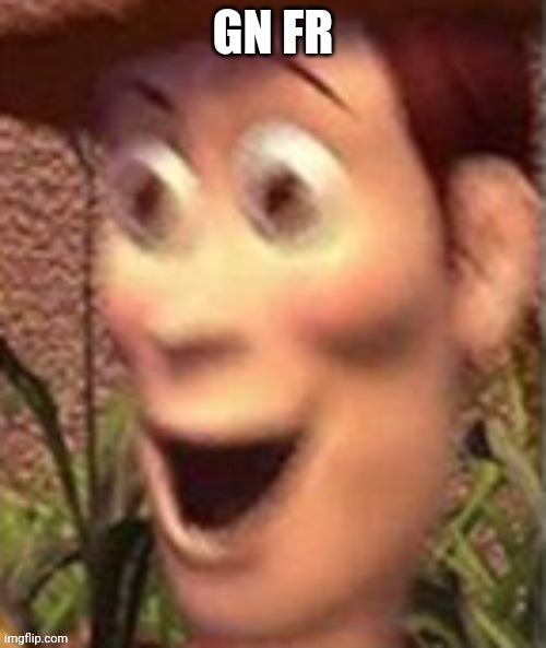 X doubt | GN FR | image tagged in woody on crack | made w/ Imgflip meme maker