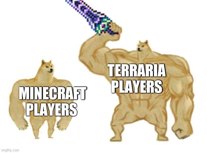 buff doge god doge | MINECRAFT PLAYERS TERRARIA PLAYERS | image tagged in buff doge god doge | made w/ Imgflip meme maker