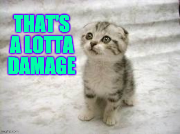 Sad Cat Meme | THAT'S A LOTTA DAMAGE | image tagged in memes,sad cat | made w/ Imgflip meme maker