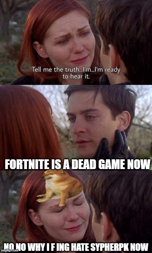 When you liked fortnite.(i never liked fortnite) | FORTNITE IS A DEAD GAME NOW; NO NO WHY I F ING HATE SYPHERPK NOW | image tagged in tell me the truth i'm ready to hear it | made w/ Imgflip meme maker