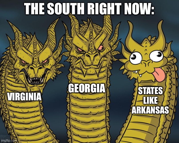 Three-headed Dragon | THE SOUTH RIGHT NOW:; GEORGIA; STATES LIKE ARKANSAS; VIRGINIA | image tagged in three-headed dragon | made w/ Imgflip meme maker