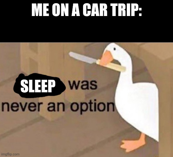Sleep was never an option | ME ON A CAR TRIP:; SLEEP | image tagged in peace was never an option,sleep,car trip | made w/ Imgflip meme maker