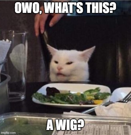 OWO, WHAT'S THIS? A WIG? | made w/ Imgflip meme maker