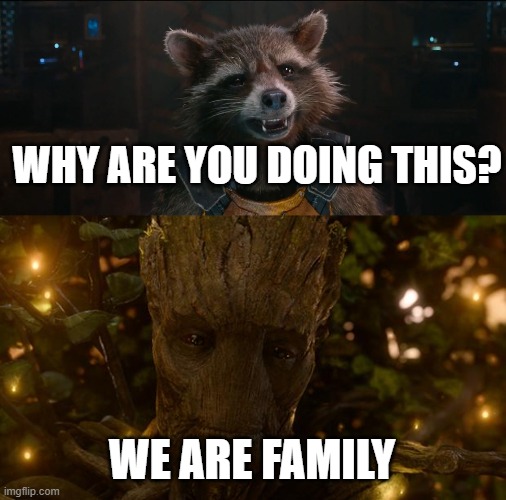 WHY ARE YOU DOING THIS? WE ARE FAMILY | image tagged in rocket racoon,i was groot,family | made w/ Imgflip meme maker