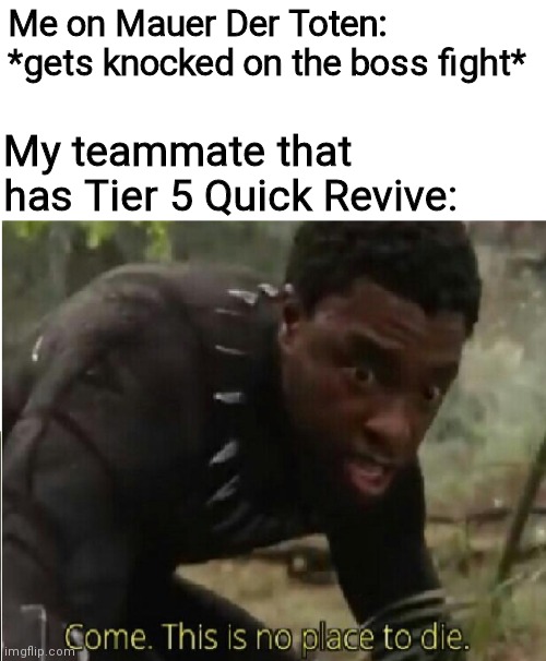 Come this is no place to die | Me on Mauer Der Toten: *gets knocked on the boss fight*; My teammate that has Tier 5 Quick Revive: | image tagged in come this is no place to die | made w/ Imgflip meme maker