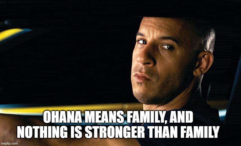 Vin Diesel in a car | OHANA MEANS FAMILY, AND NOTHING IS STRONGER THAN FAMILY | image tagged in vin diesel in a car,ohana | made w/ Imgflip meme maker