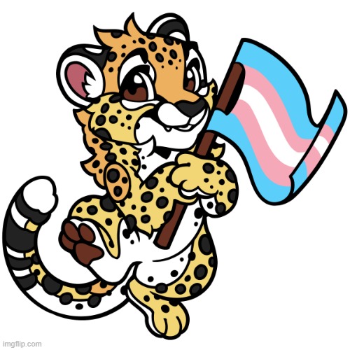 Just a cute artwork I found, And the flag is relative because male and female cheetahs don't have the slightest difference! xD | image tagged in furry,cute,trans,lgbt,artwork,cheetah | made w/ Imgflip meme maker
